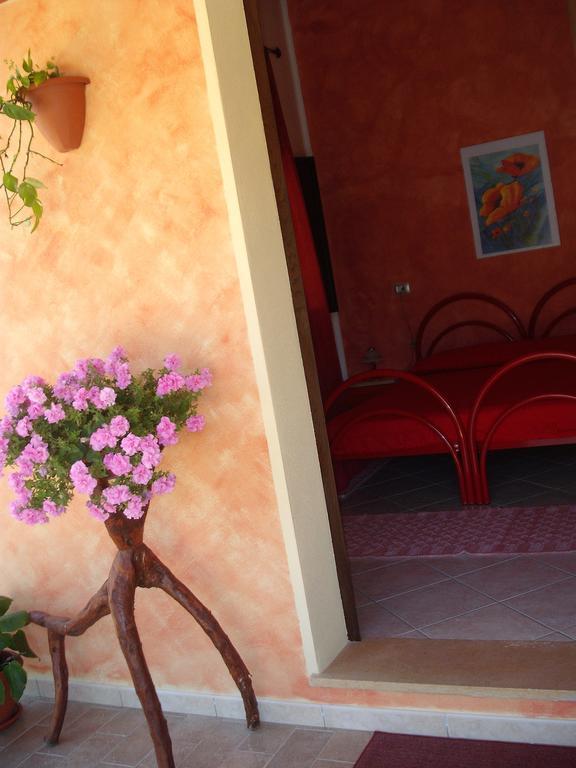 Domu De Palla- Iun-E5167 Bauladu 部屋 写真